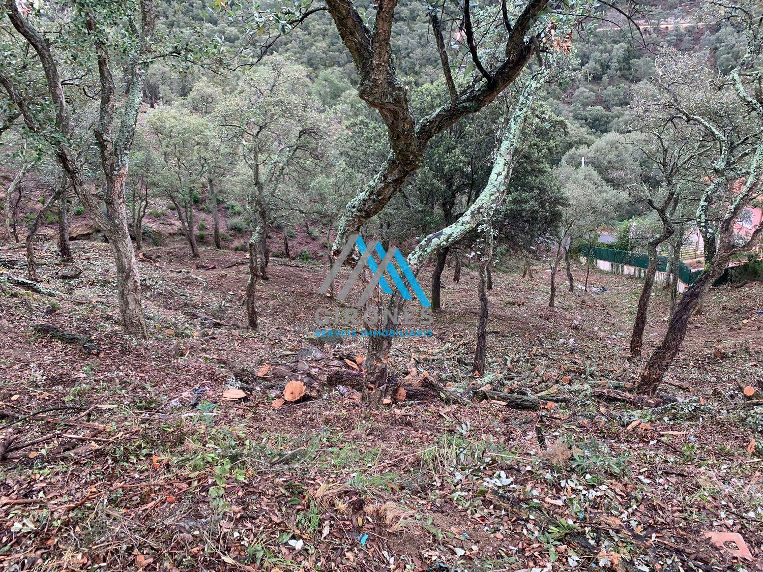 For sale of land in Santa Cristina D´aro