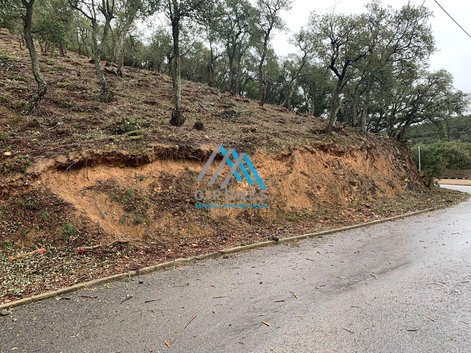 For sale of land in Santa Cristina D´aro