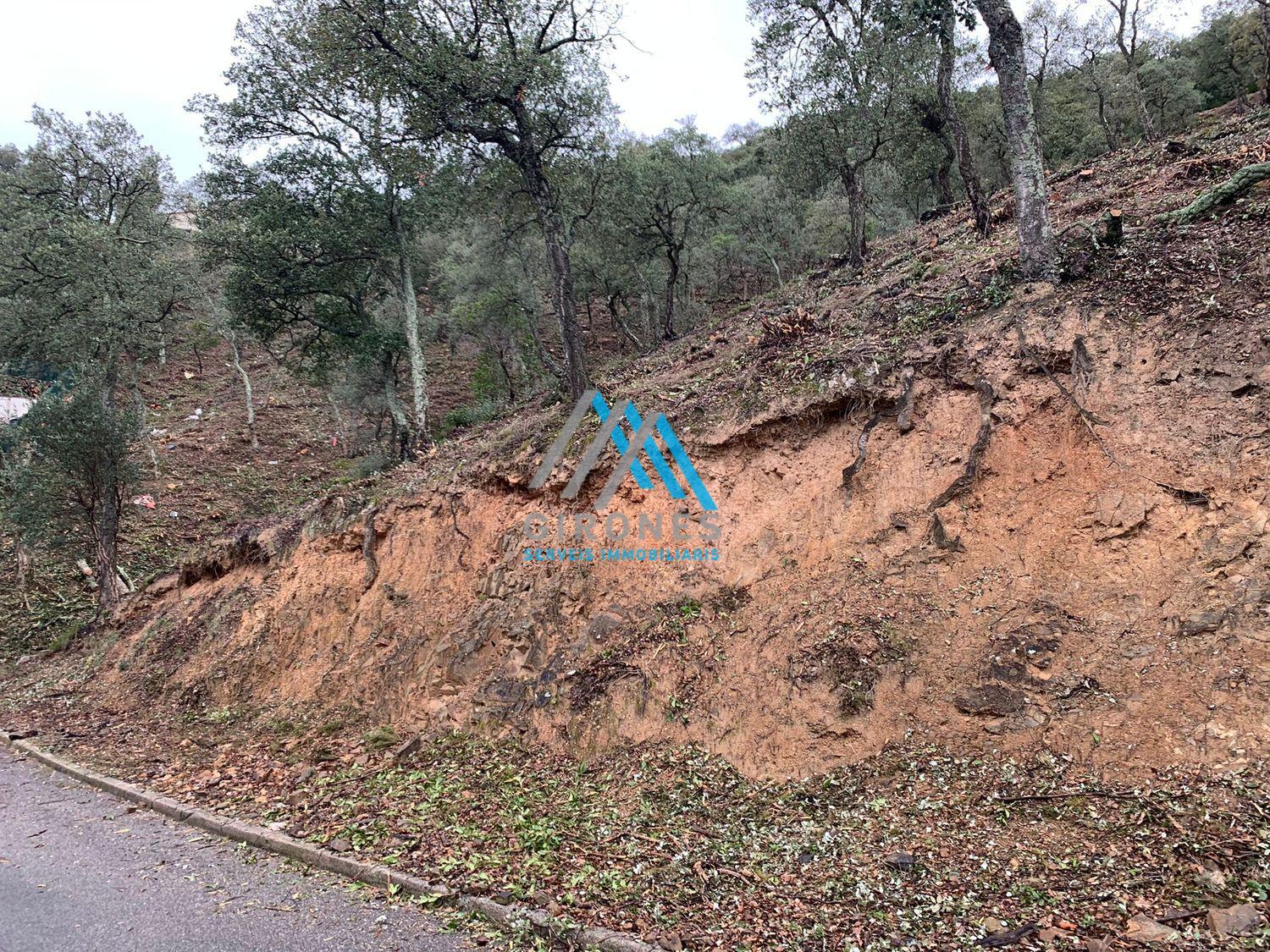 For sale of land in Santa Cristina D´aro
