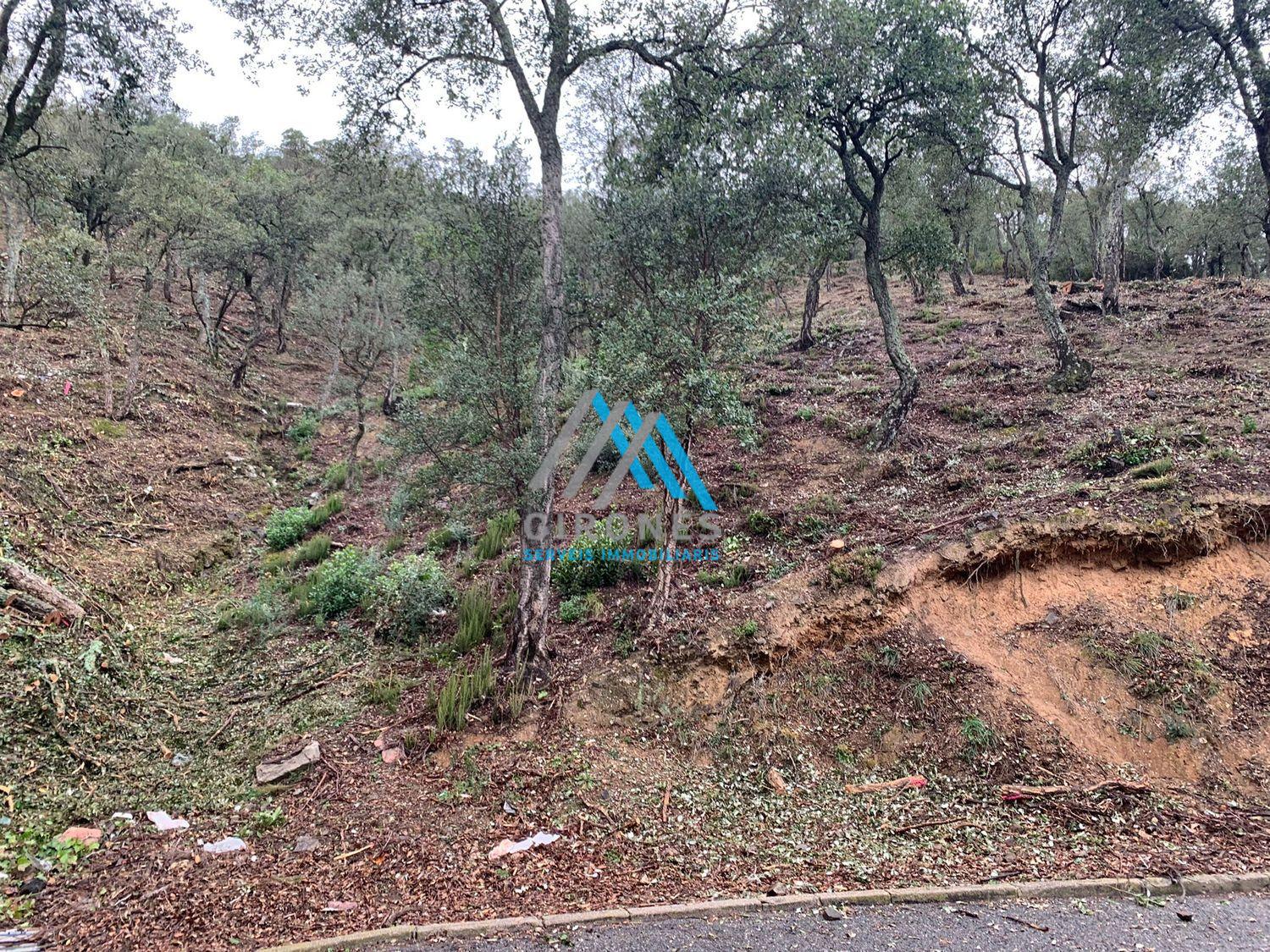 For sale of land in Santa Cristina D´aro