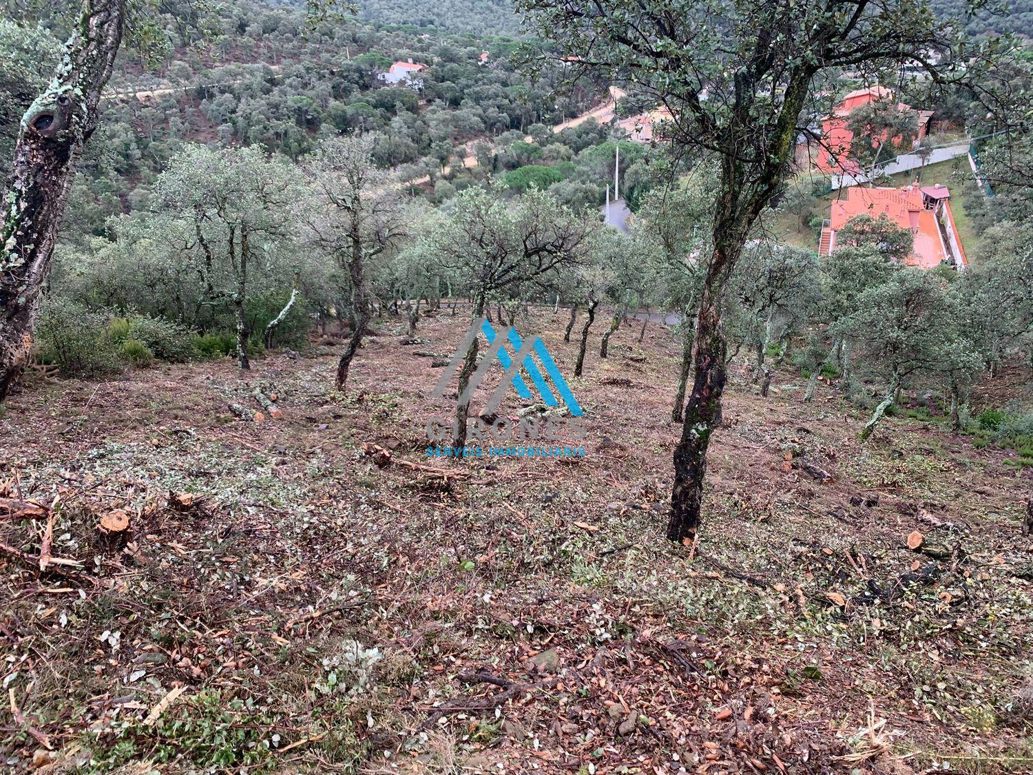 For sale of land in Santa Cristina D´aro