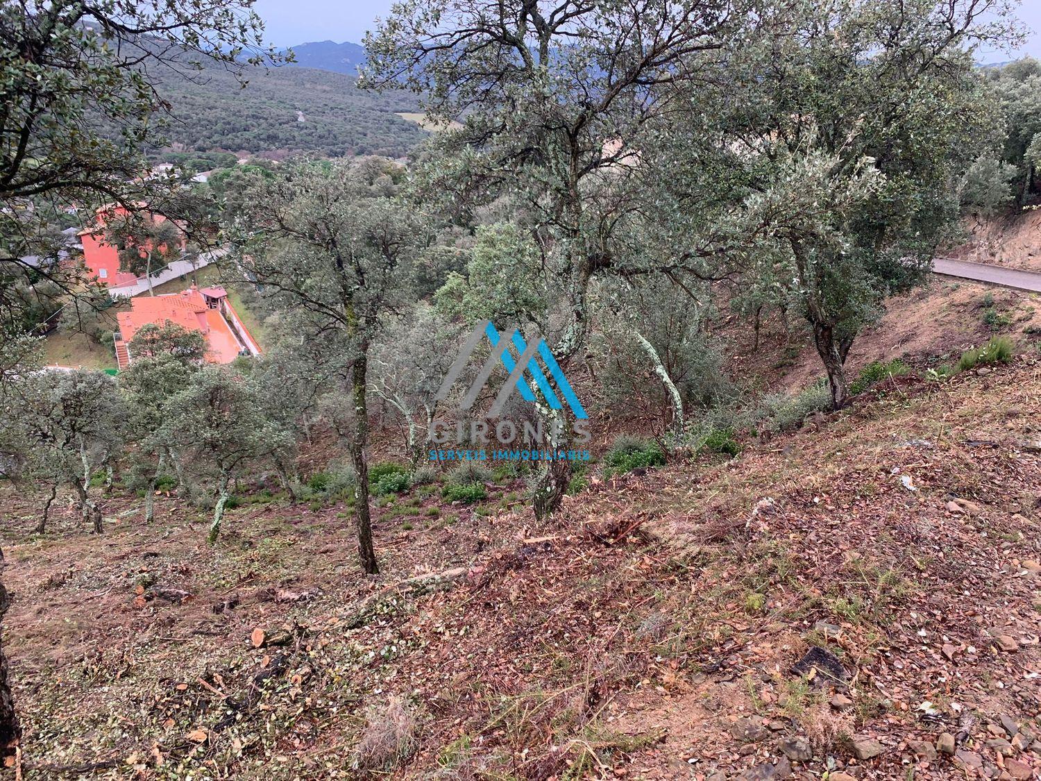 For sale of land in Santa Cristina D´aro