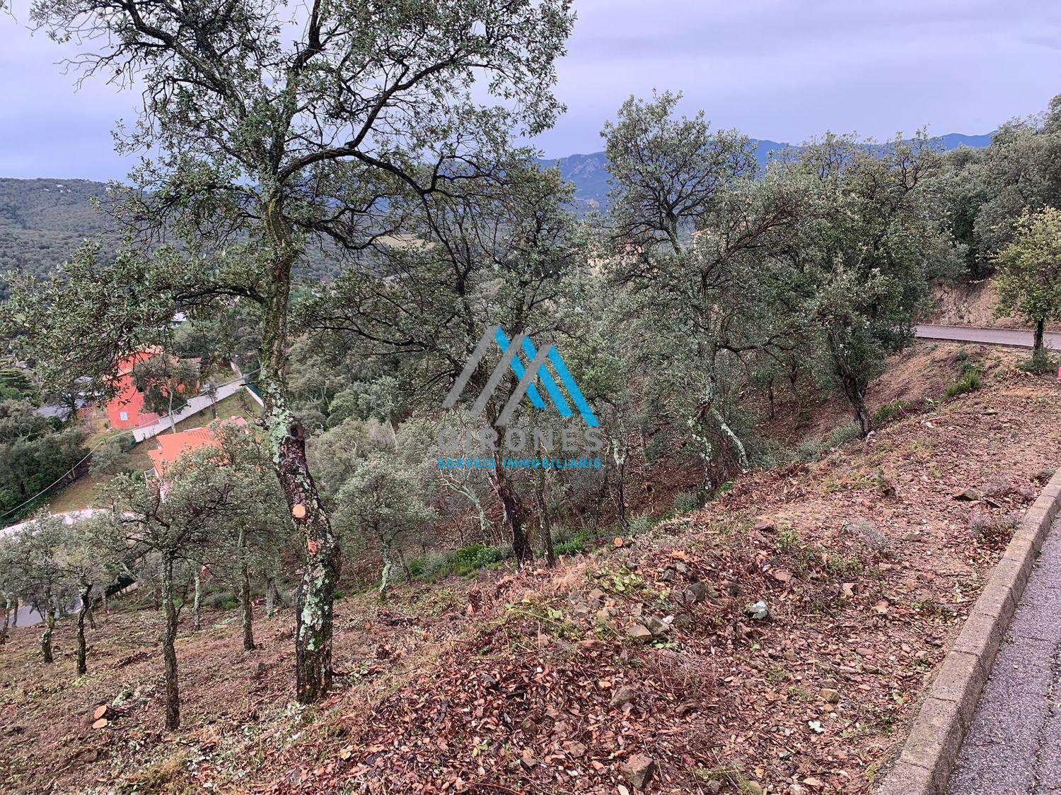 For sale of land in Santa Cristina D´aro