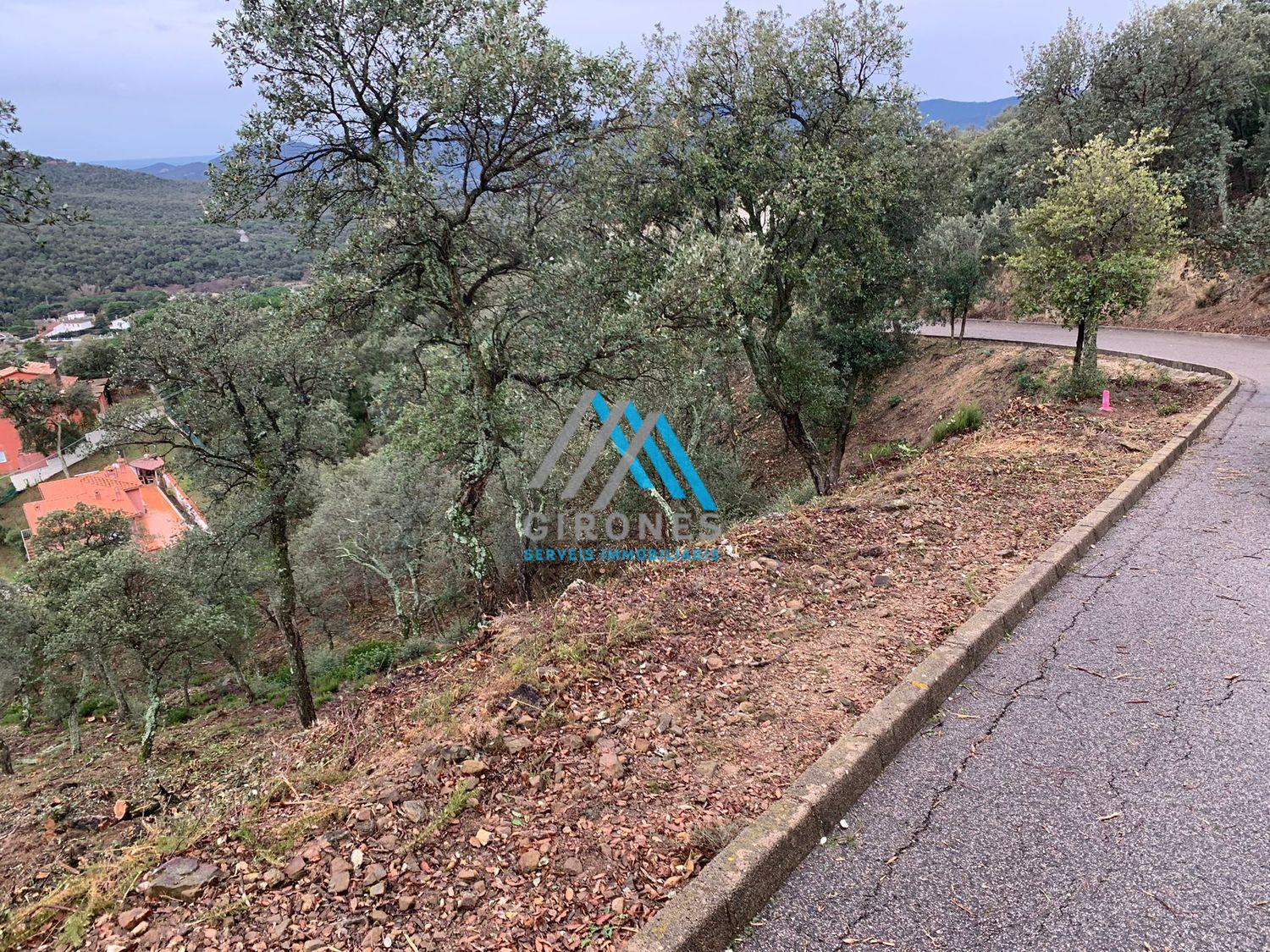 For sale of land in Santa Cristina D´aro