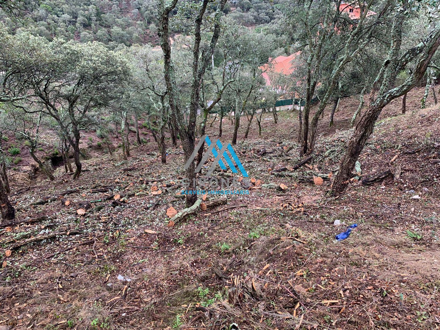 For sale of land in Santa Cristina D´aro