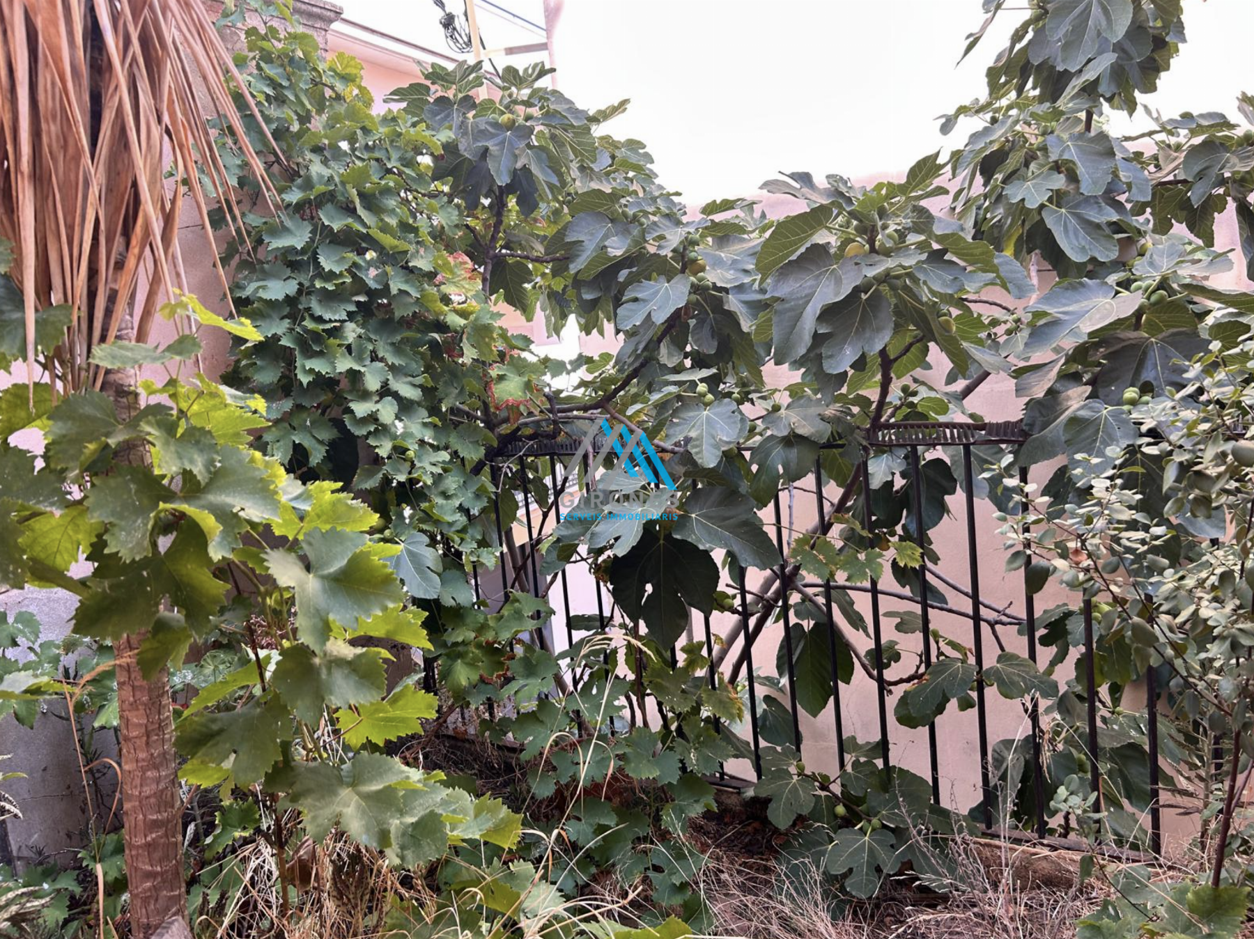 Venda de casa a Sant Feliu de Guíxols