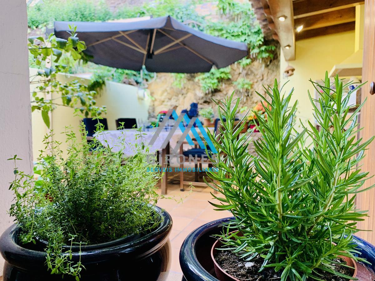 Terraza