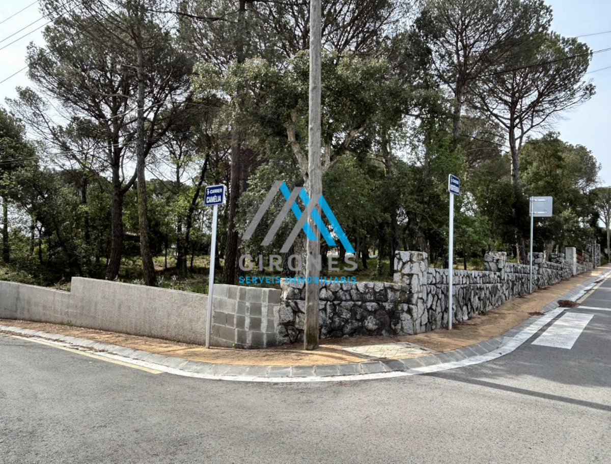Ground