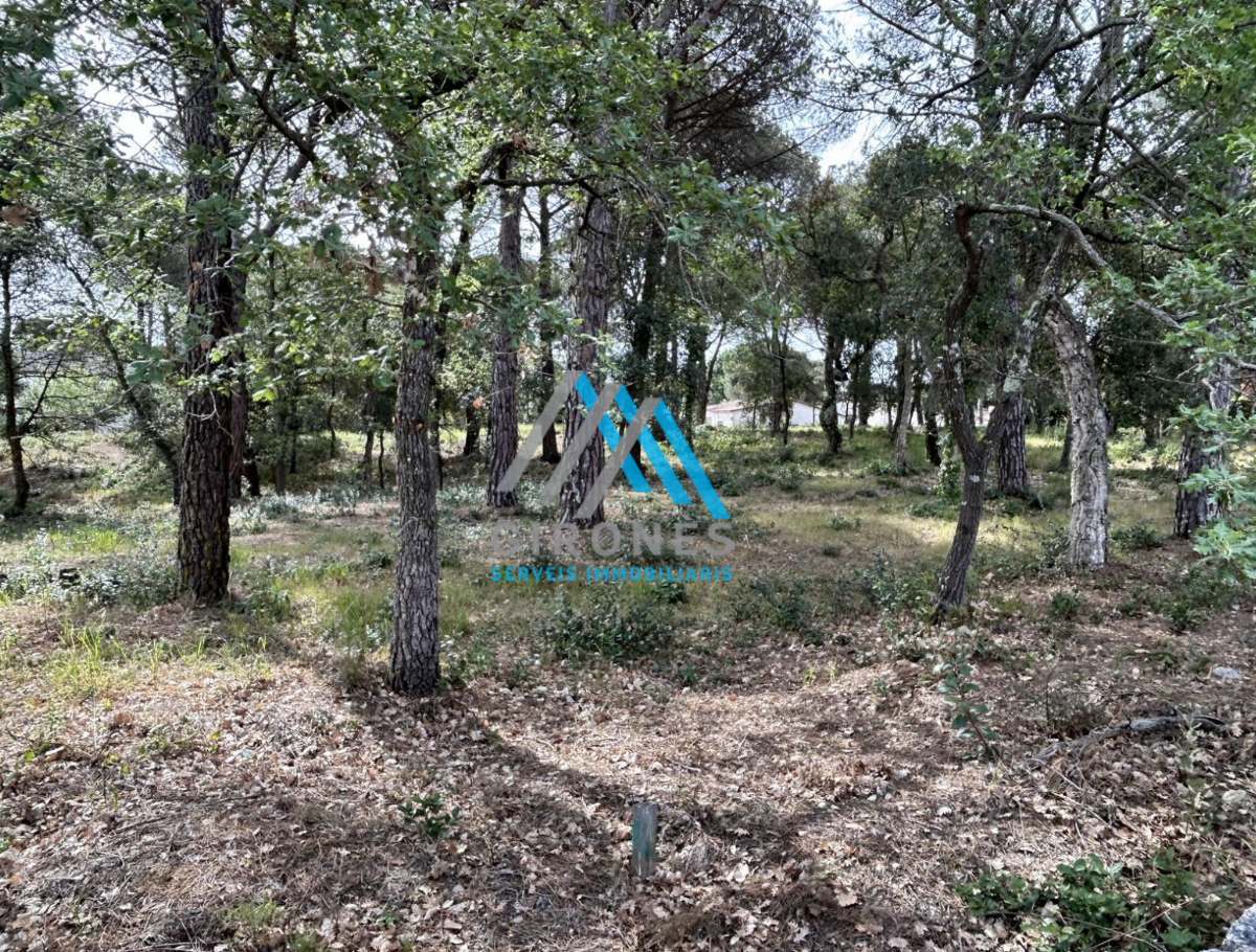 Ground