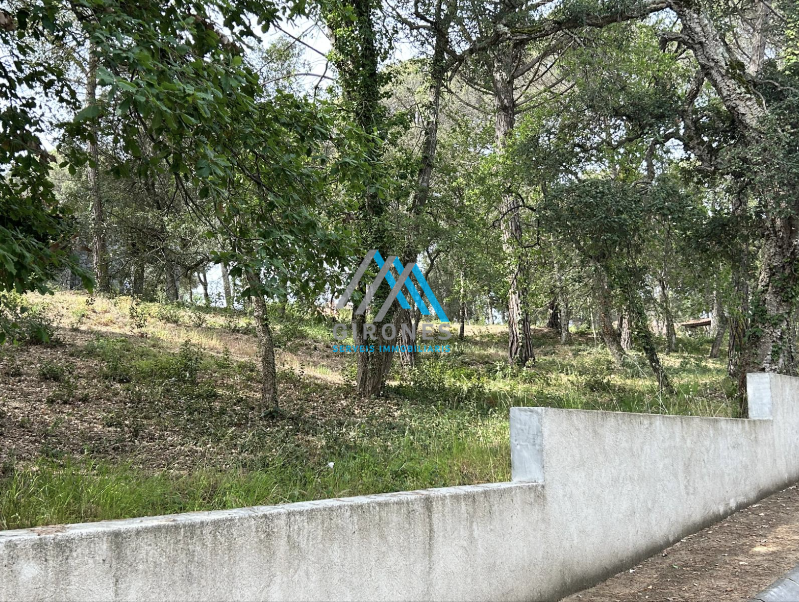 Ground