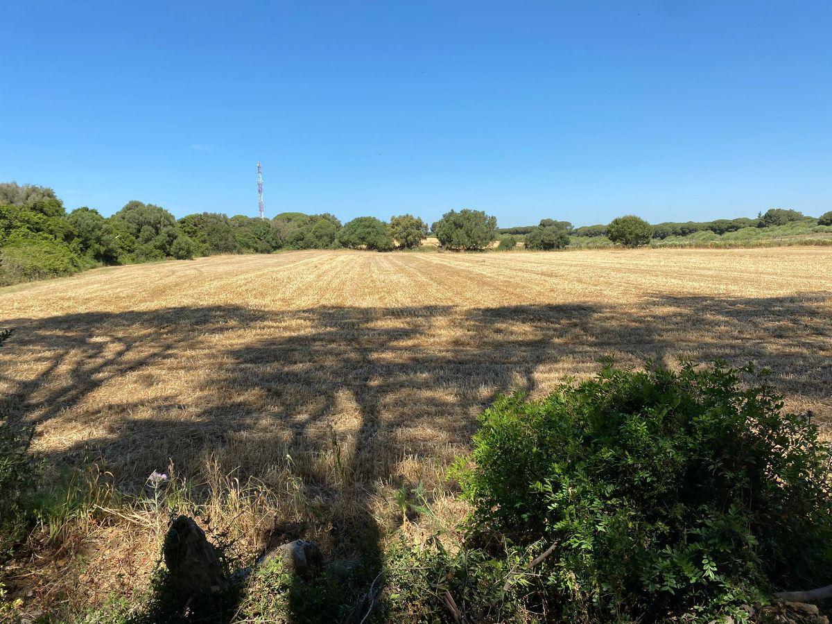 For sale of rural property in Puerto Real