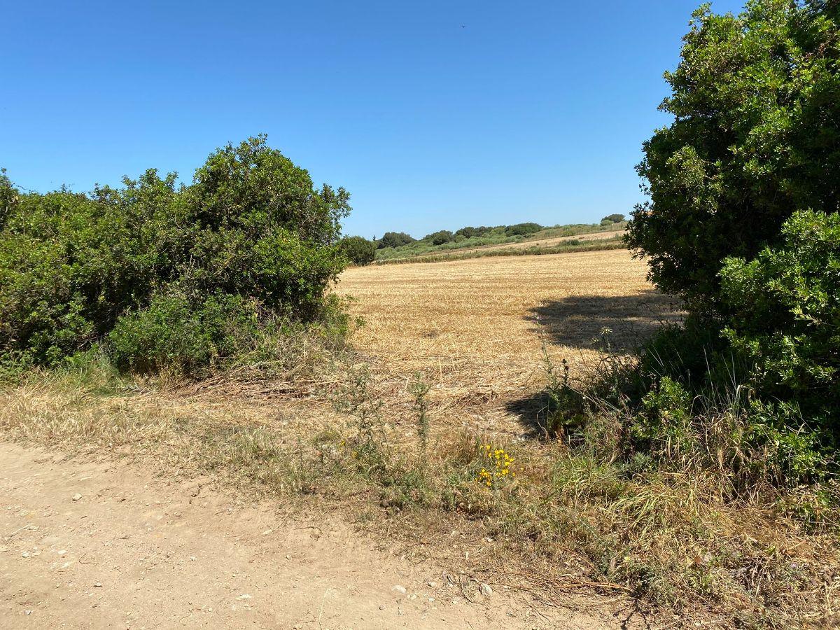 For sale of rural property in Puerto Real