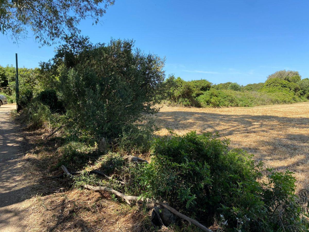 For sale of rural property in Puerto Real