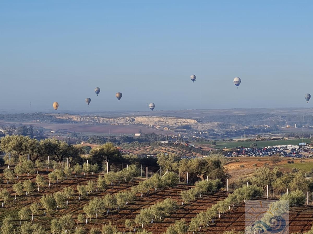 Vendita di proprietà rurale in Arcos de la Frontera