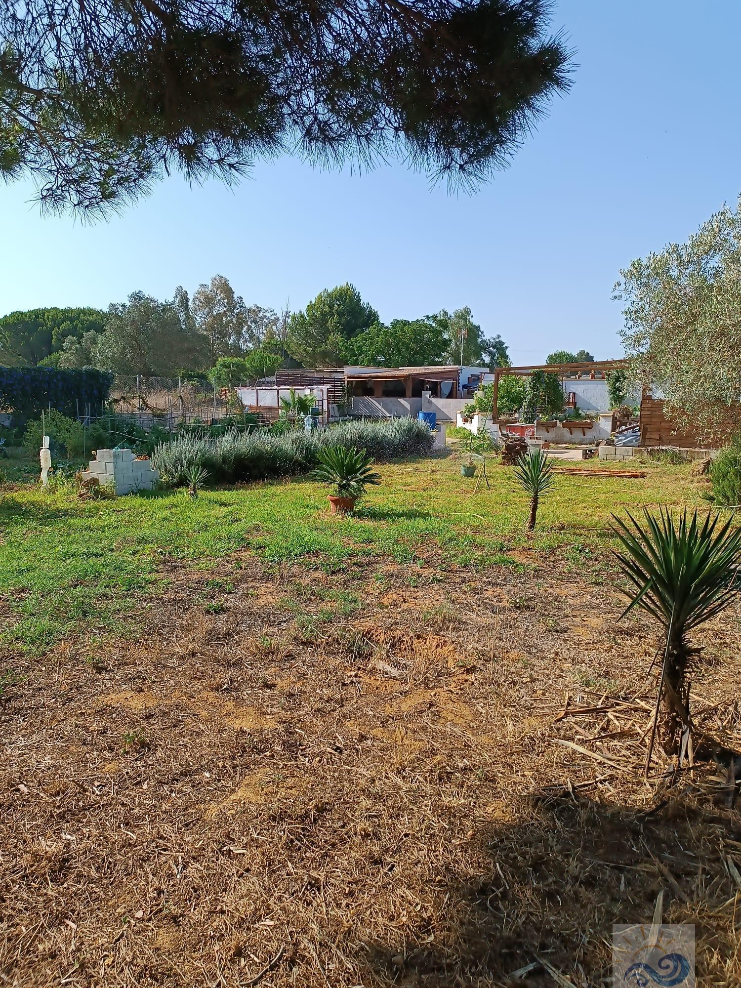 Vente de terrain dans Puerto Real