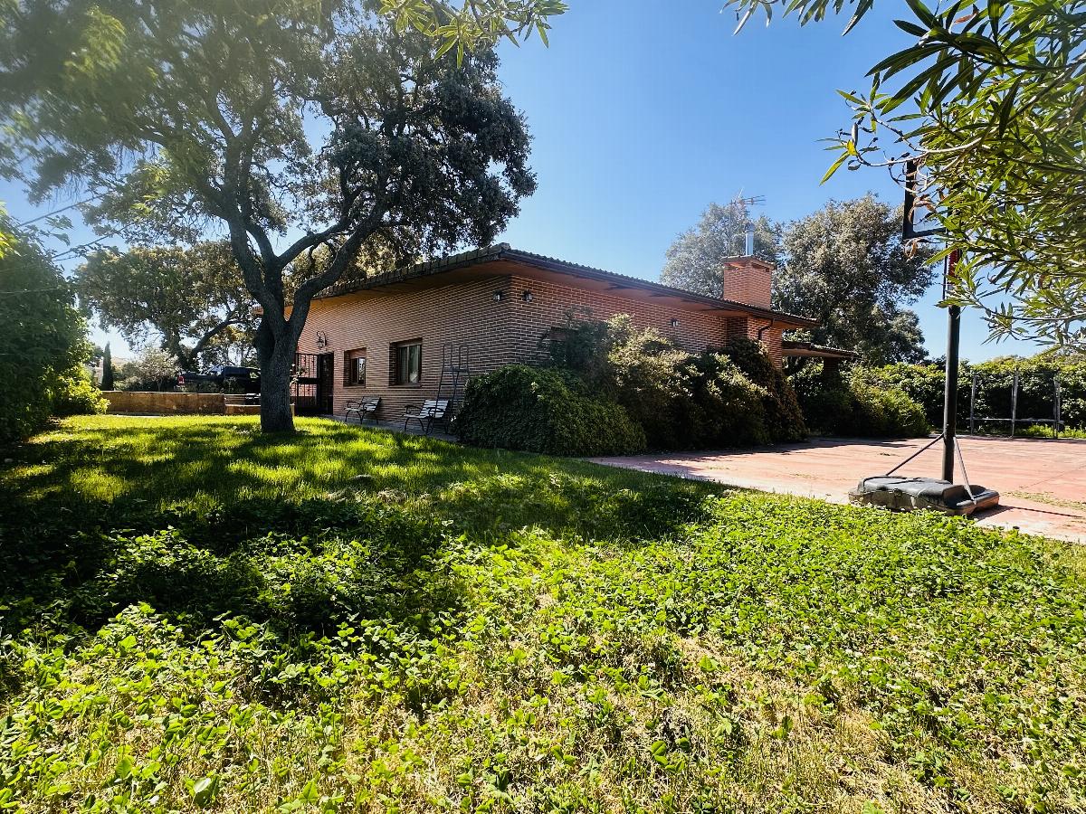 Jardín
