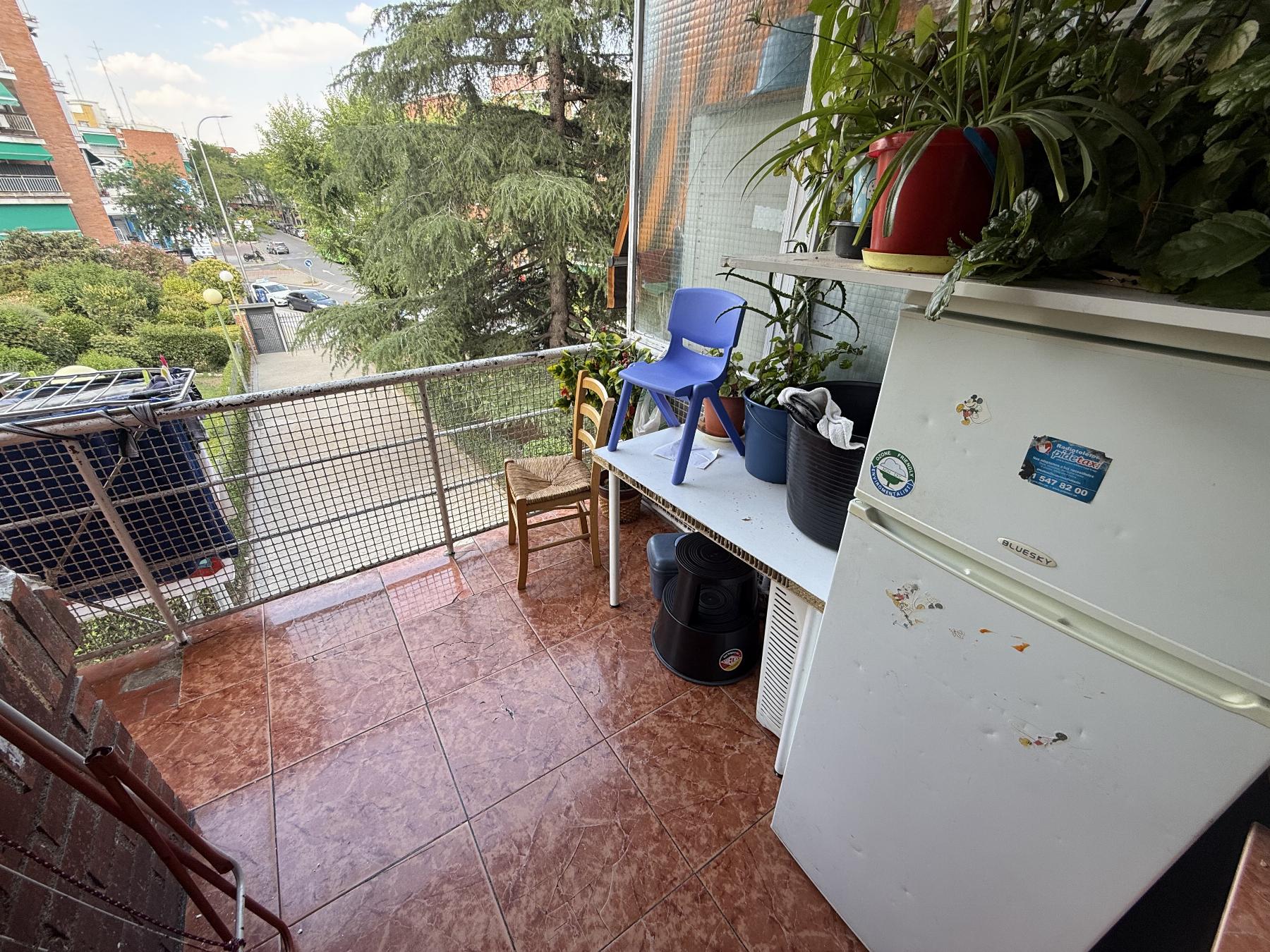 Terraza