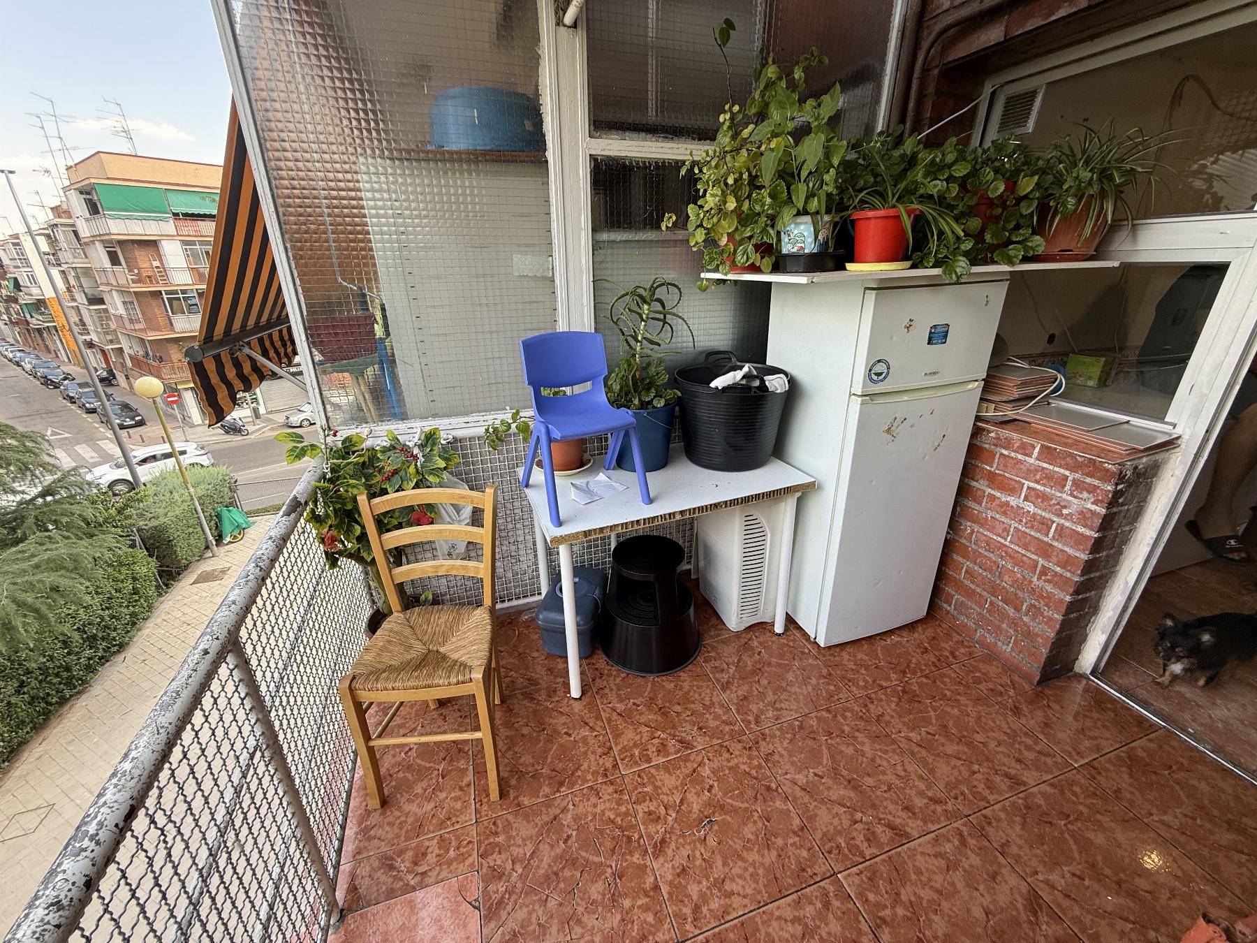 Terraza