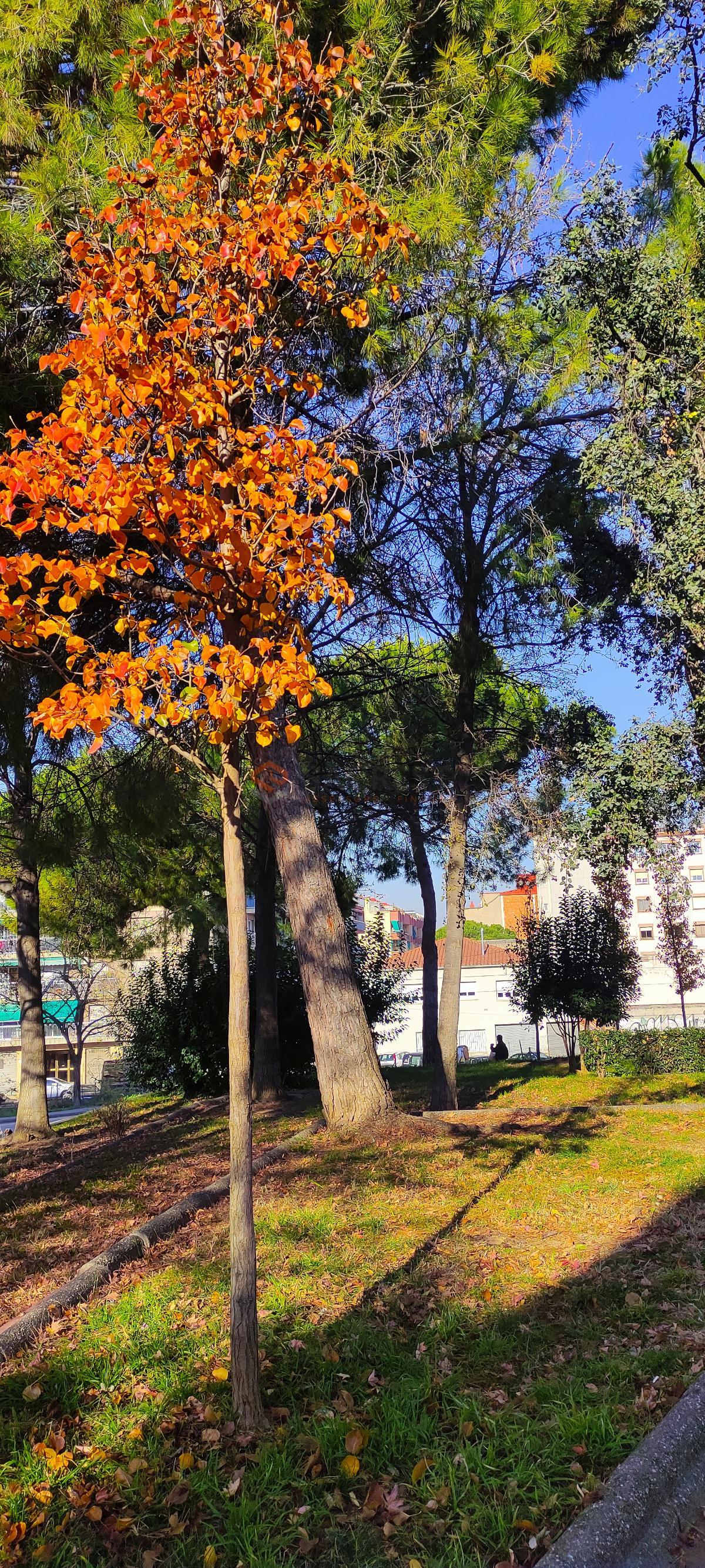 Venda de pis a Mollet del Vallès