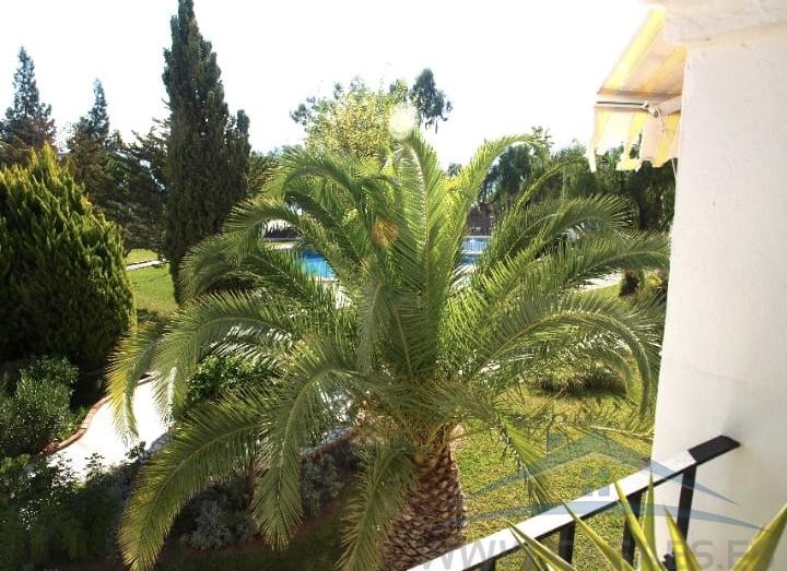 For rent of flat in Aguadulce
