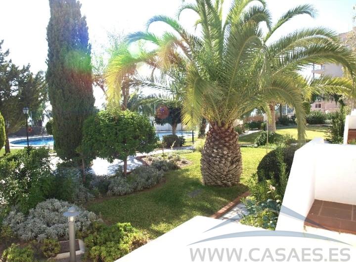 For rent of flat in Aguadulce