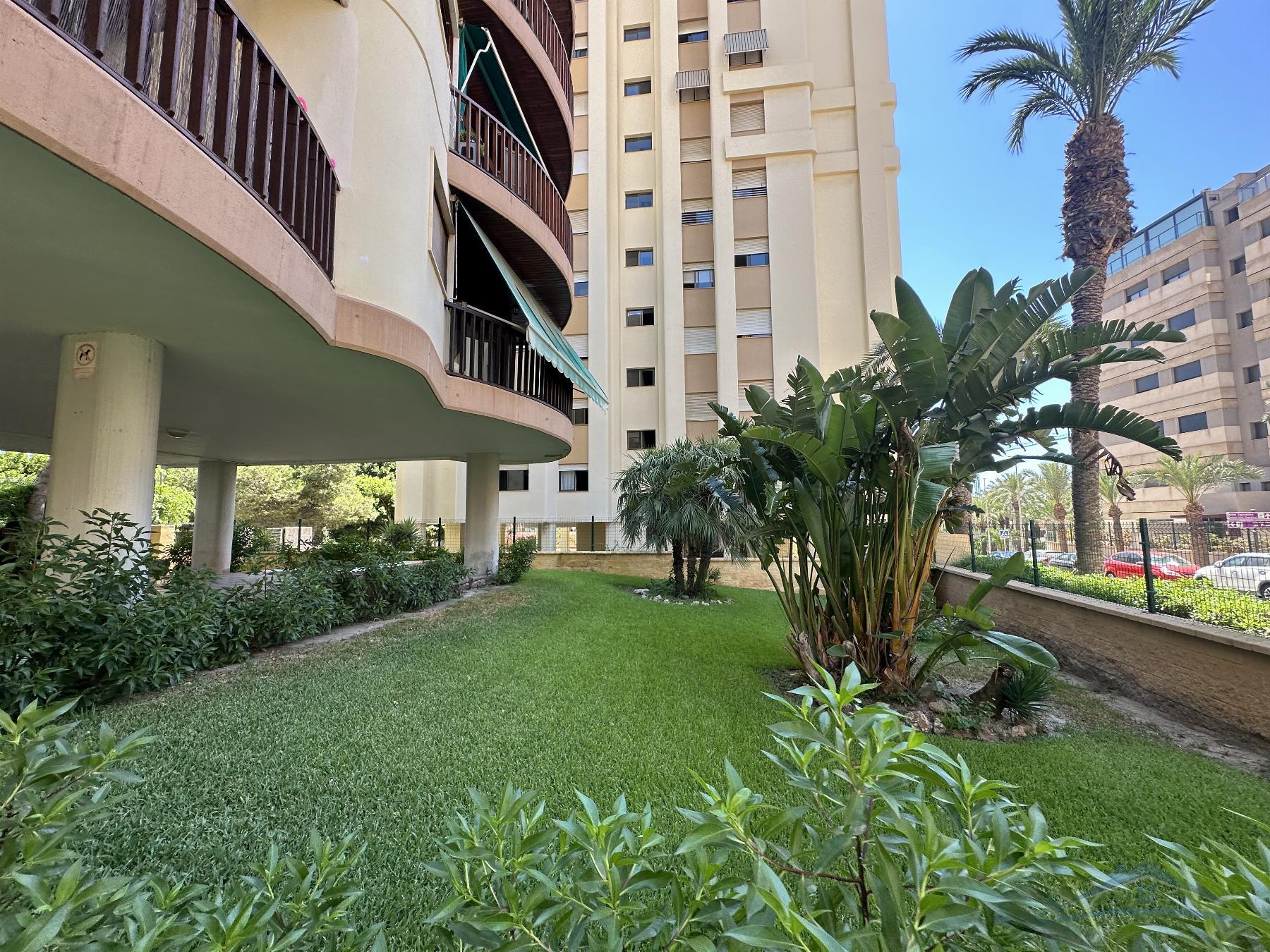 Продажа от

 Пентхаус на Aguadulce