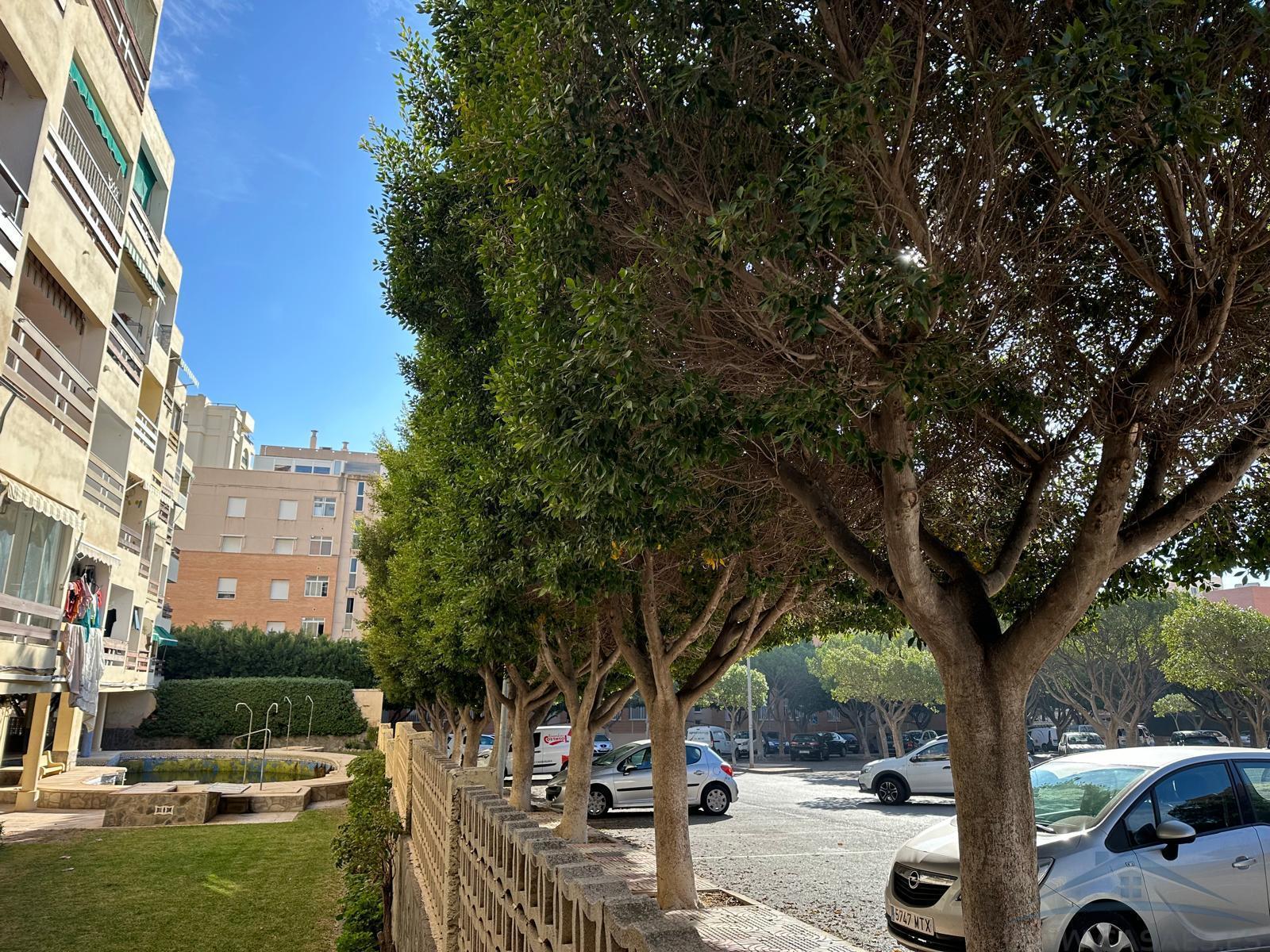Vendita di appartamento in Aguadulce