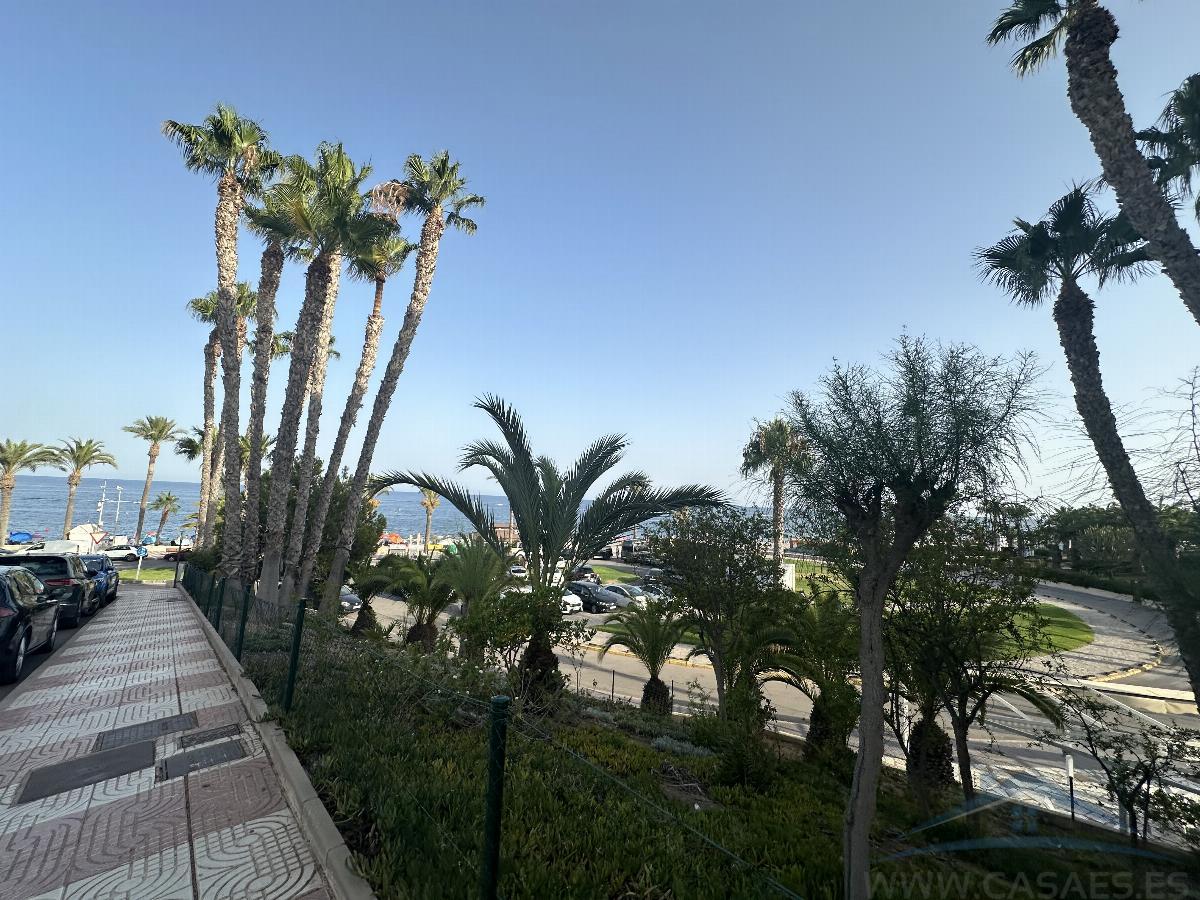 For rent of flat in Aguadulce