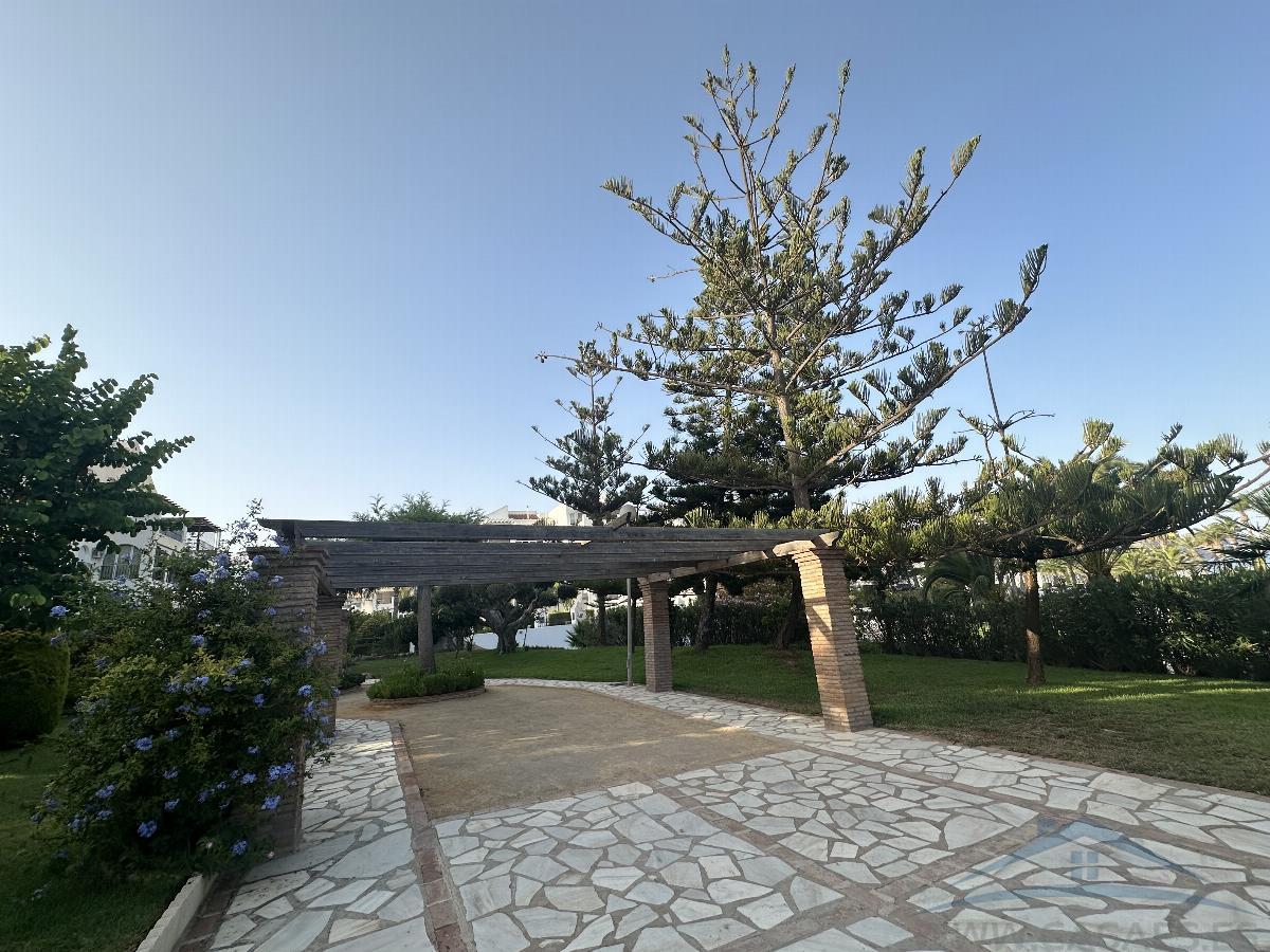 For rent of flat in Aguadulce