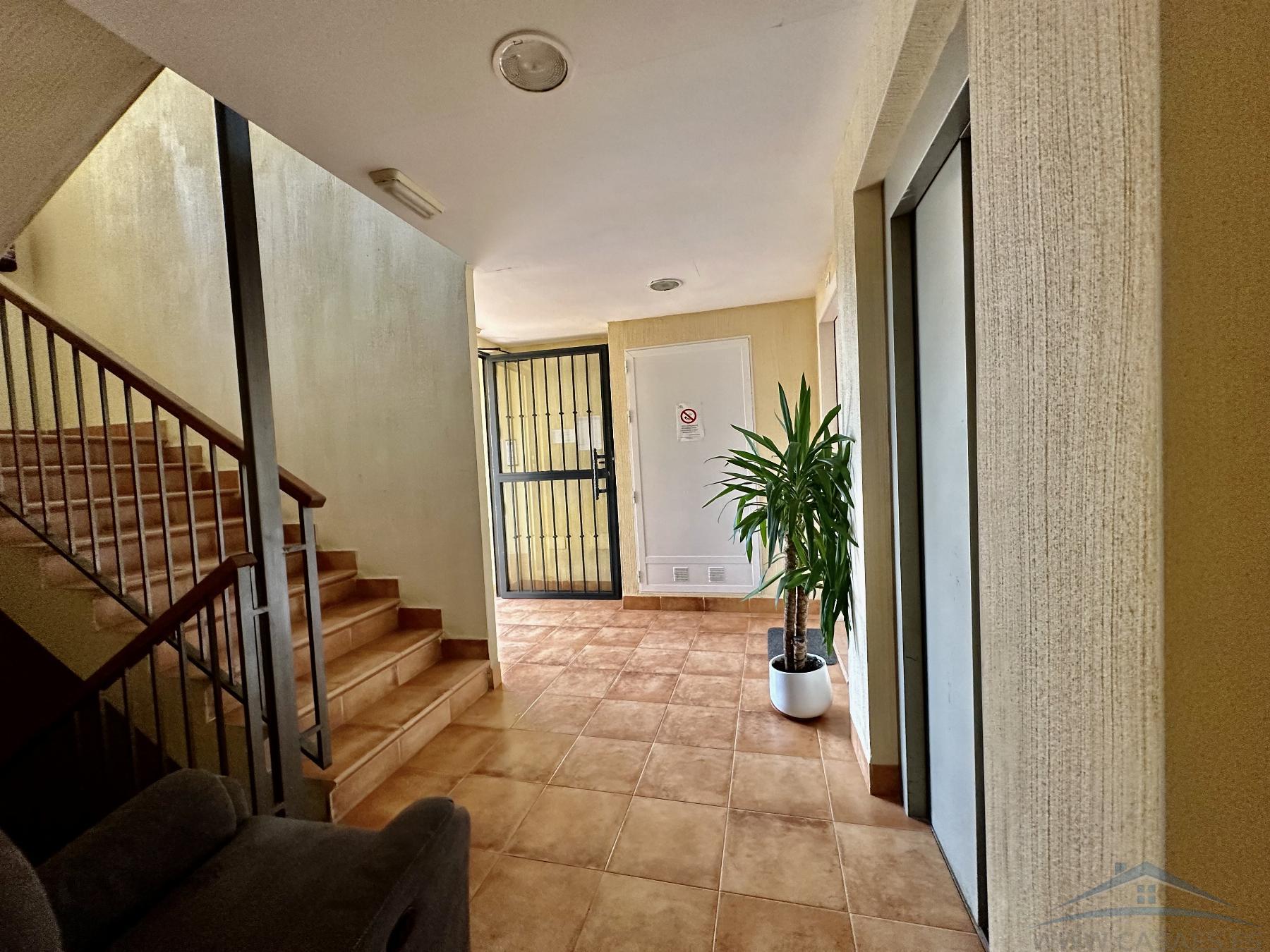 For rent of flat in Roquetas de Mar