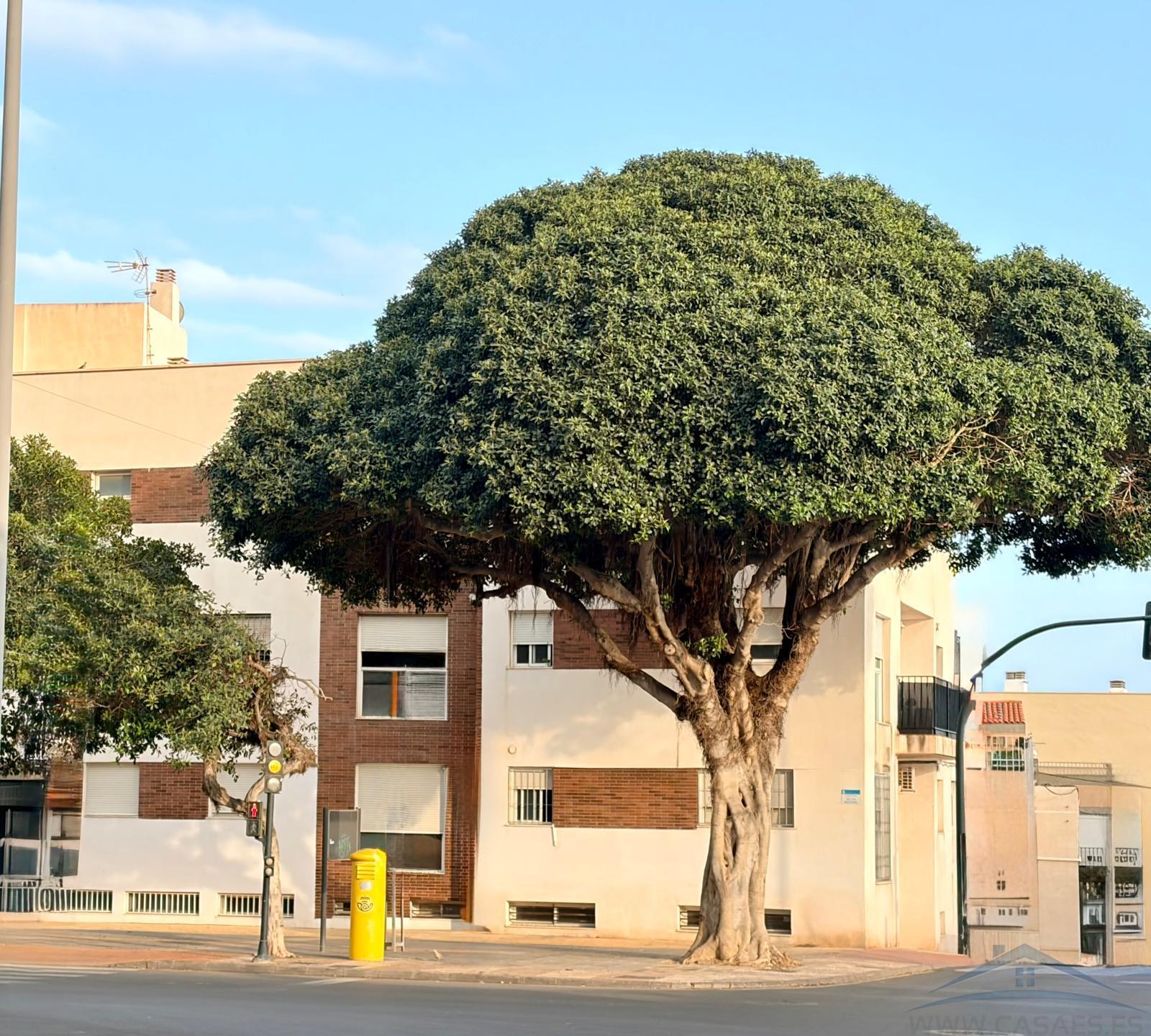 Venta de piso en Aguadulce