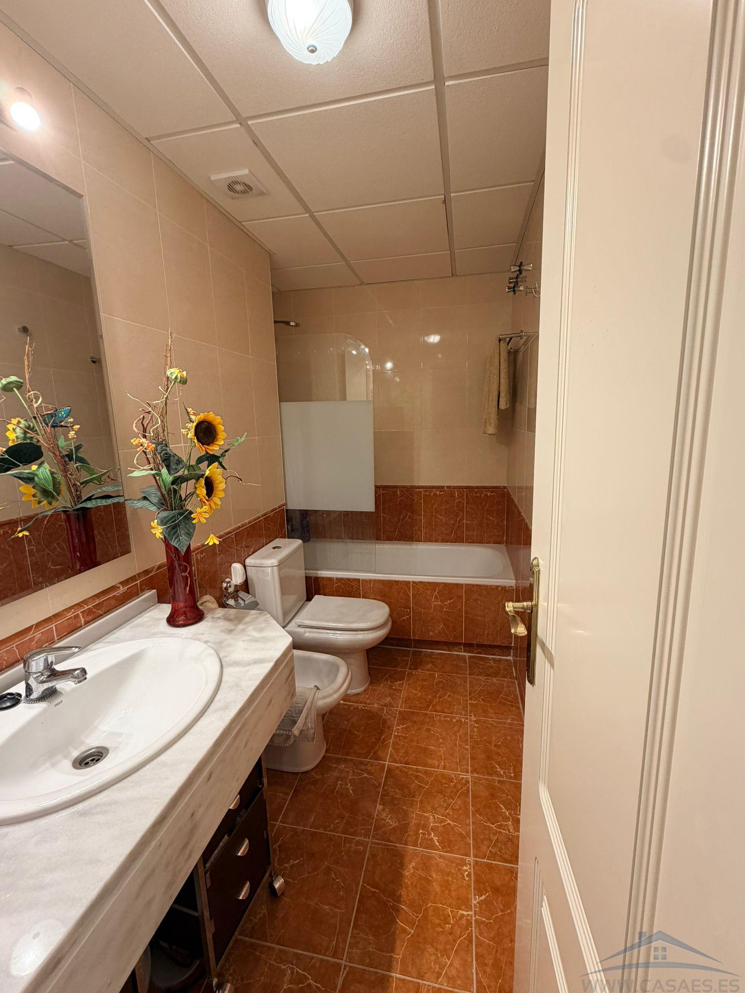 Venta de estudio en Vícar