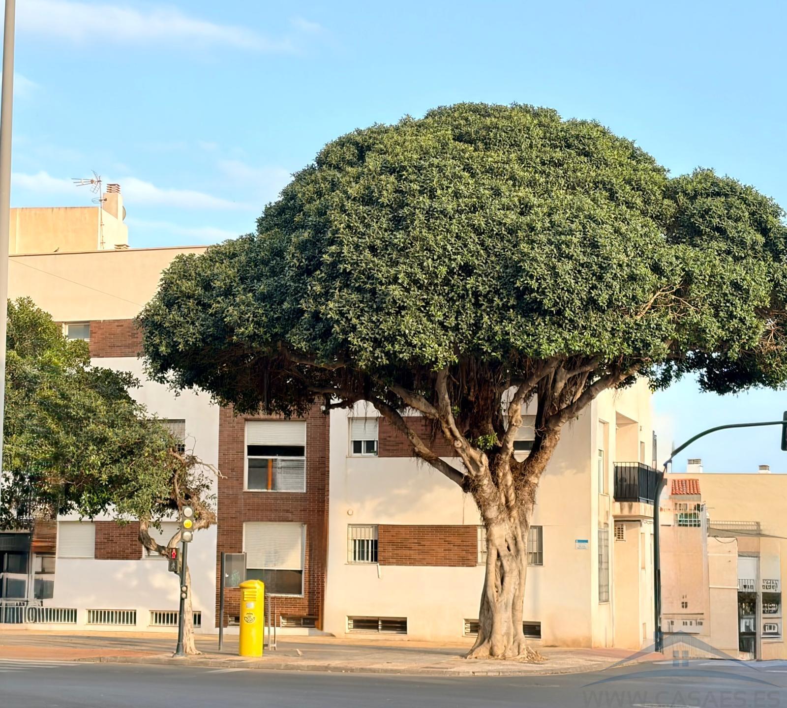 Venta de piso en Roquetas de Mar