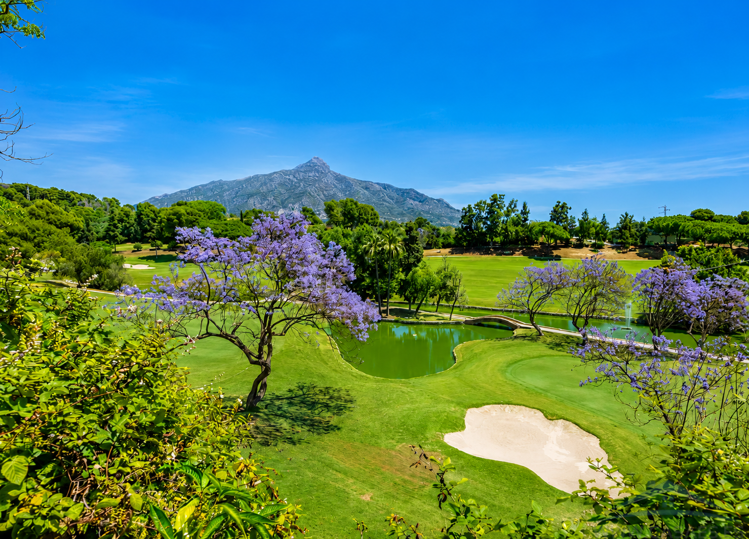 Venta de chalet en Marbella
