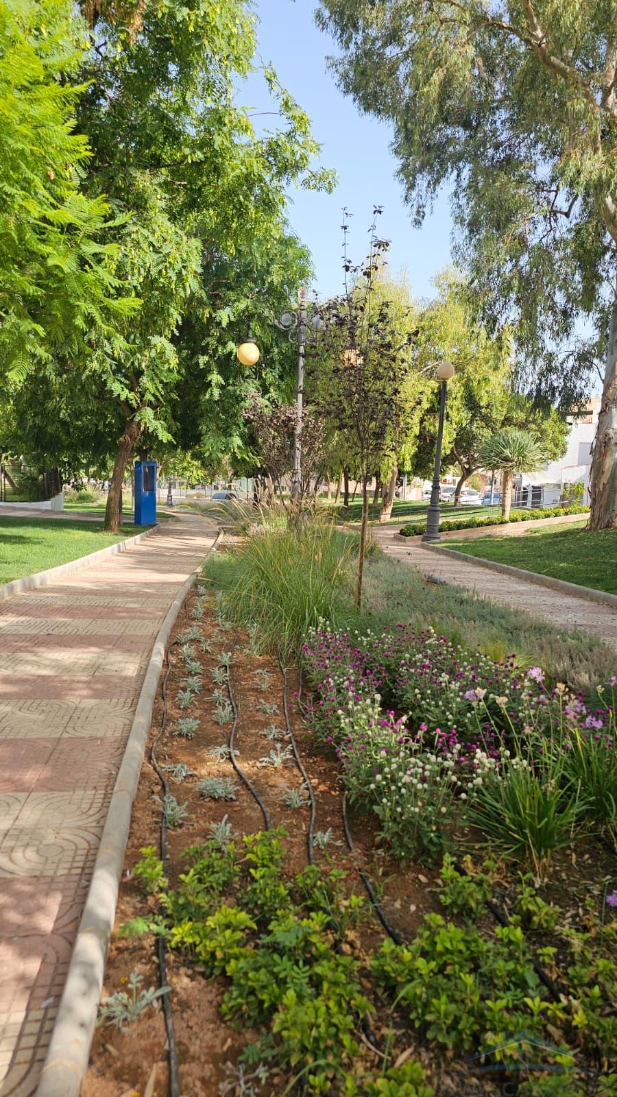 Alquiler de piso en Aguadulce