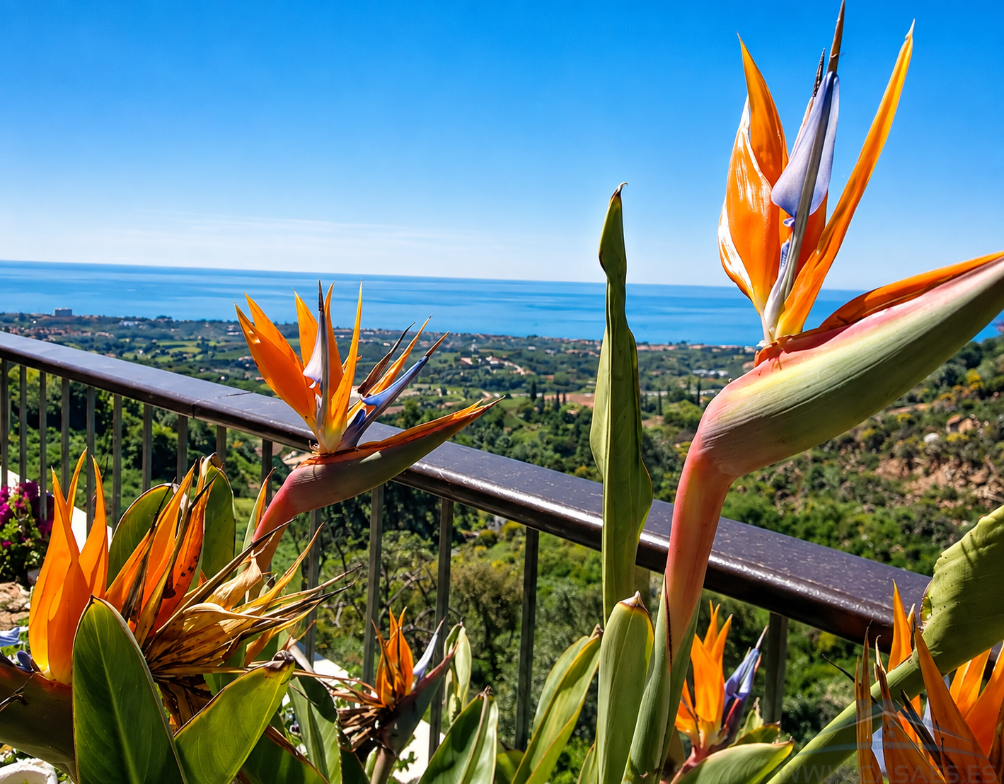 Venta de piso en Marbella