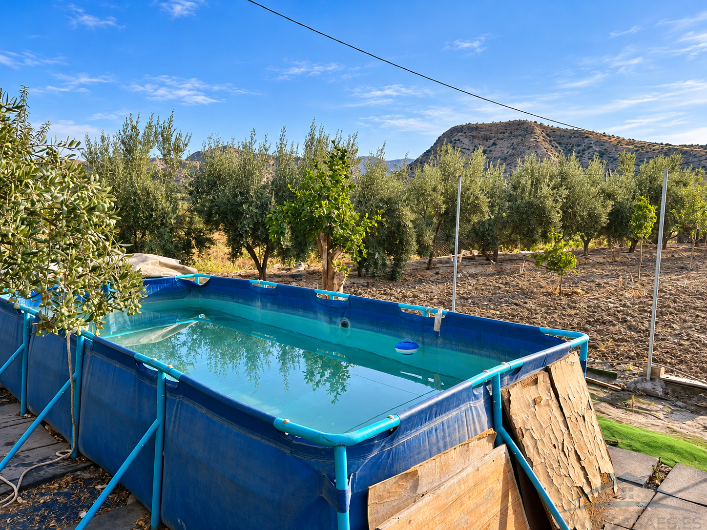 Venta de finca rústica en Alsodux
