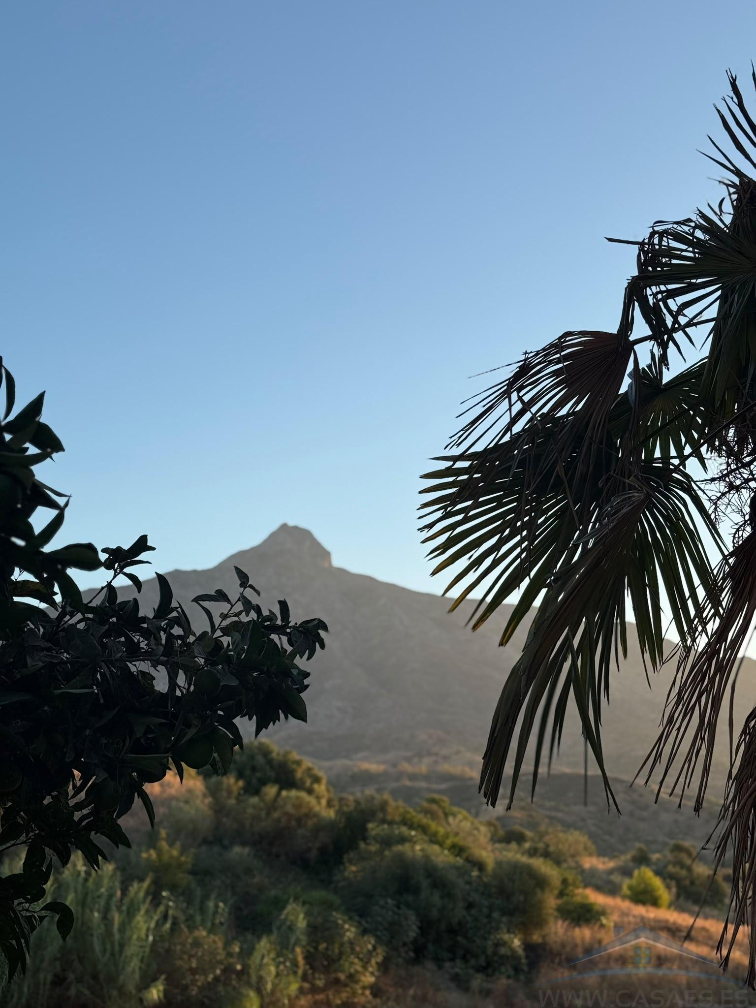 Alquiler de piso en Marbella