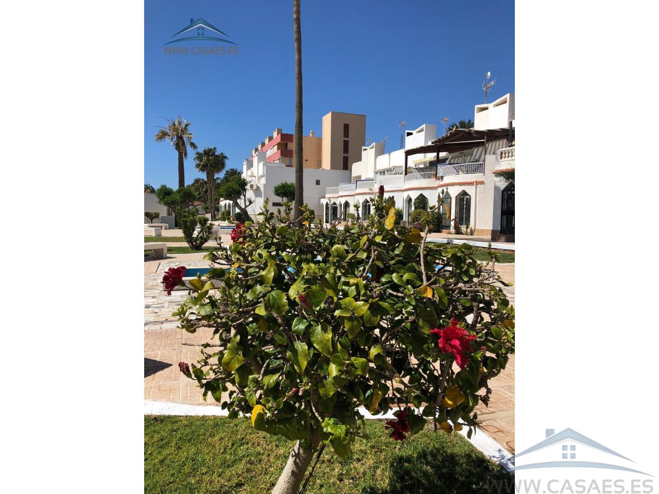 Alquiler de bungalow en Roquetas de Mar