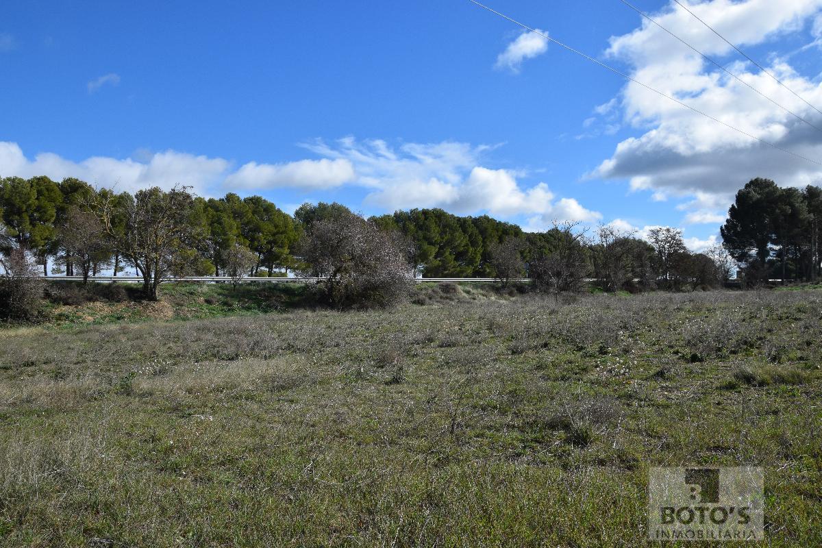 For sale of land in Almudévar