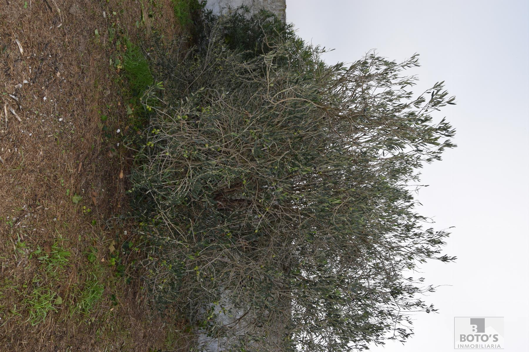 Venta de terreno en Almudévar