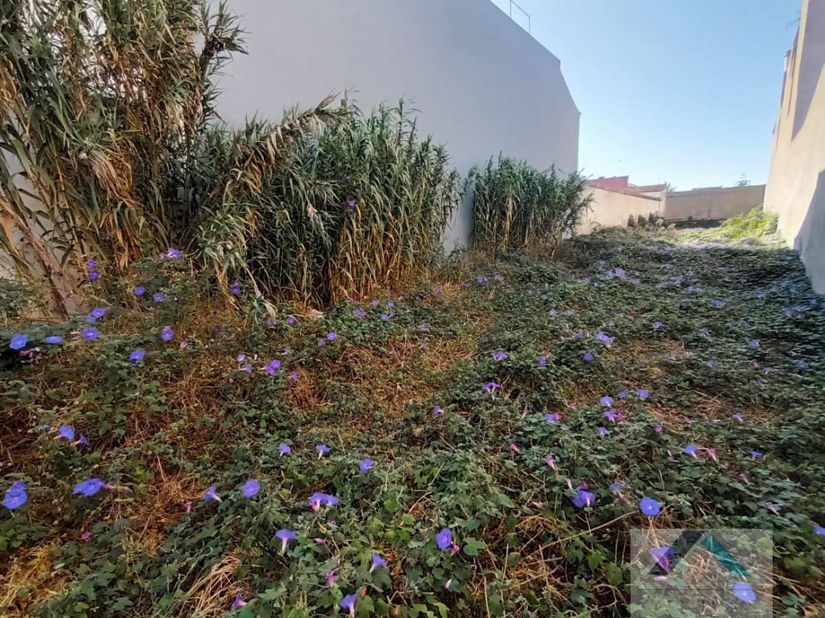 For sale of land in San Cristóbal de La Laguna