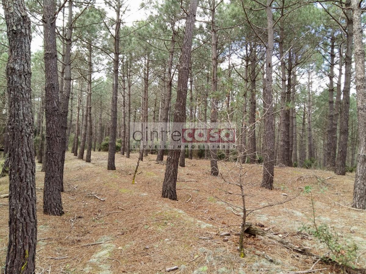 Venta de terreno en Tordera