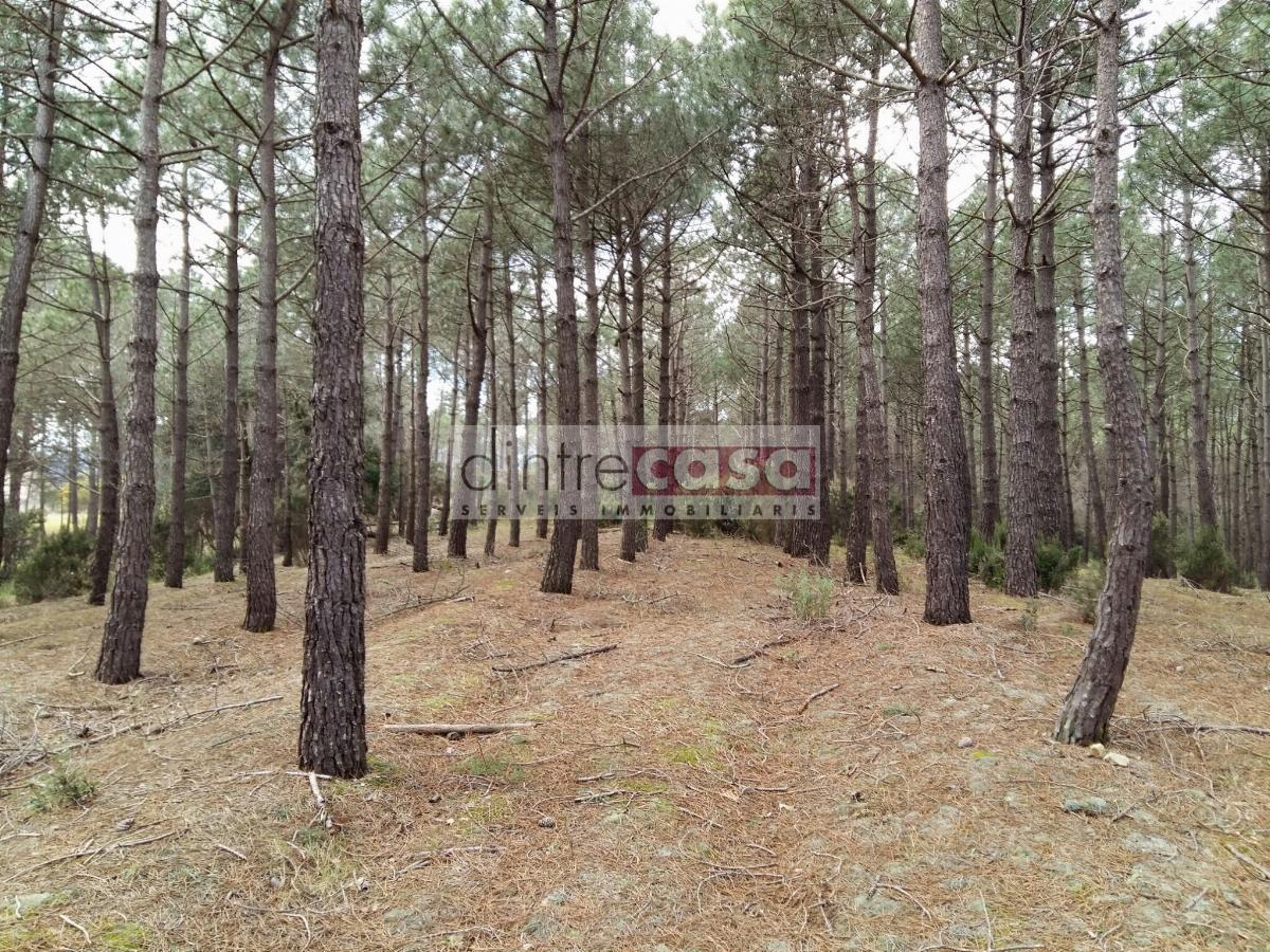 Venta de terreno en Tordera