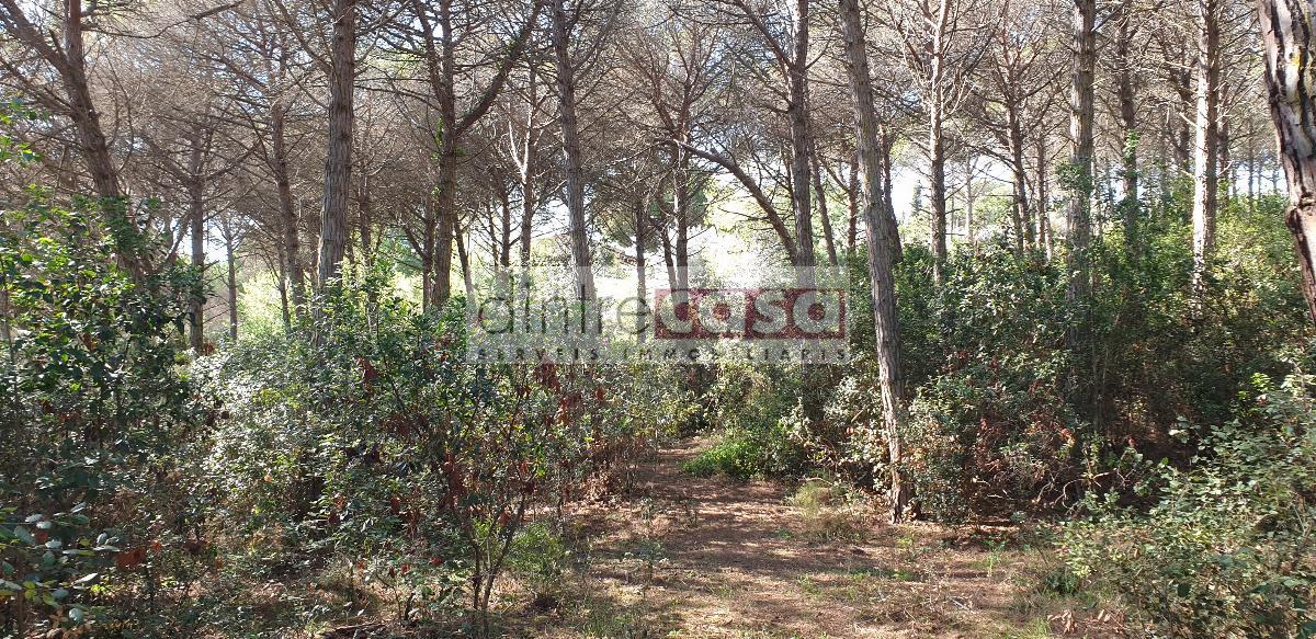 For sale of land in Tordera