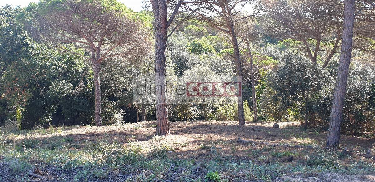 For sale of land in Tordera