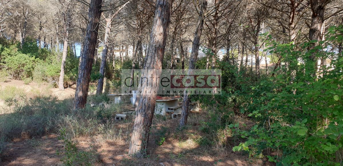 For sale of land in Tordera