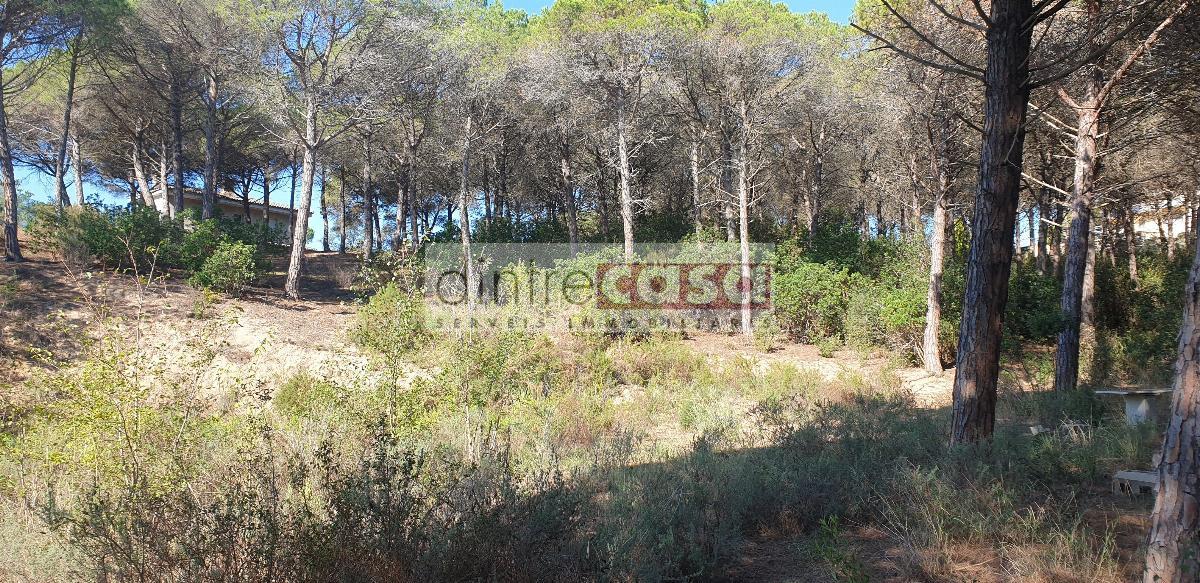 Venta de terreno en Tordera