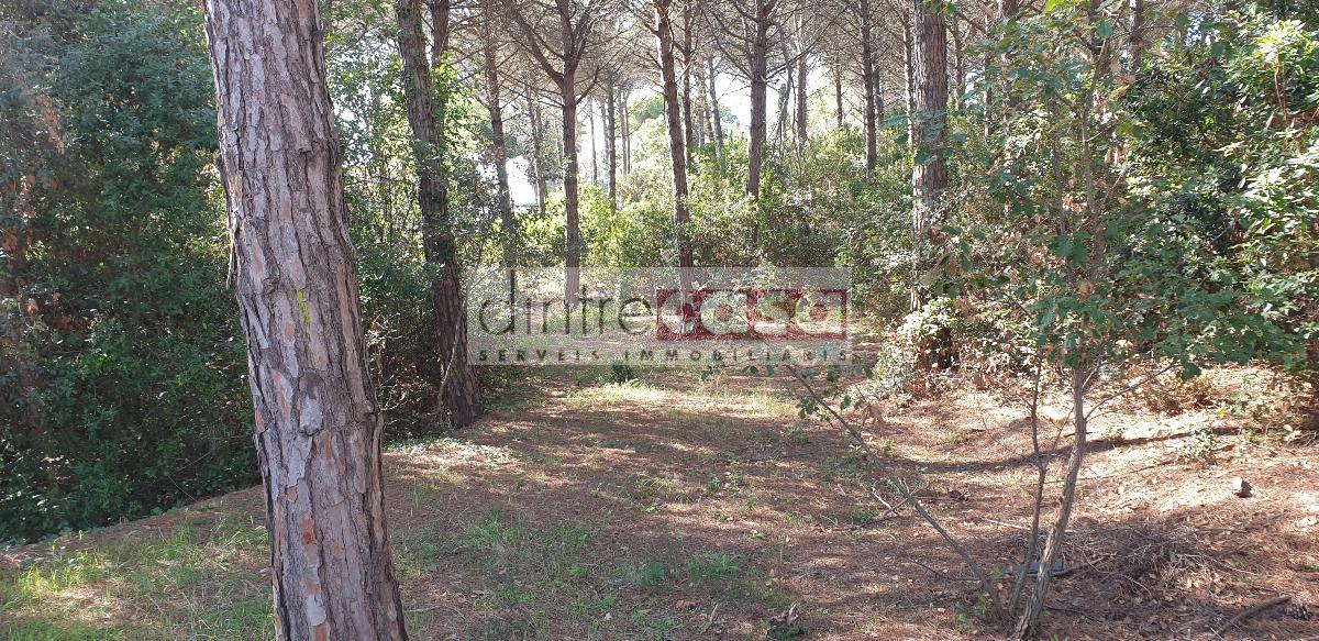 For sale of land in Tordera