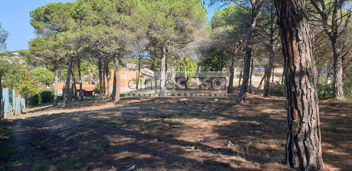 For sale of land in Tordera